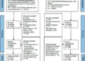 Multi-scale differences in landscape connectivity evaluation and protection strategies: a case study of Chongqing, China – Nature