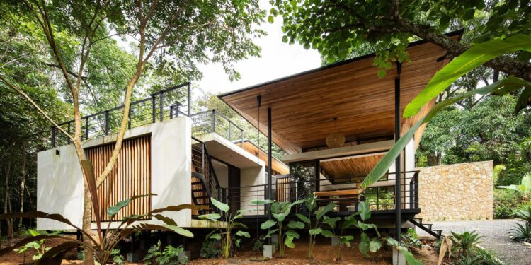 Casa Floresta is a radical transformation of a traditional Brazilian house – wallpaper.com