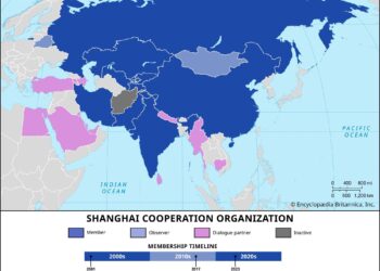 Media Cooperation Forum of SCO countries begins in Xinjiang, releases public opinion survey on development visions – Global Times