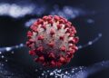 Coronavirus derails Dhaka-Chittagong high-speed railway project – Dhaka Tribune