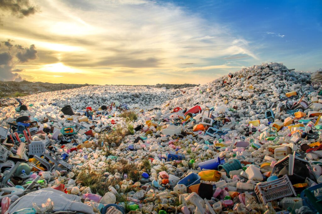 All waste in Dhaka to be cleared by tonight: Adviser Asif Mahmud – The Daily Star