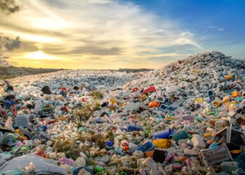 All waste in Dhaka to be cleared by tonight: Adviser Asif Mahmud – The Daily Star