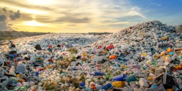 All waste in Dhaka to be cleared by tonight: Adviser Asif Mahmud – The Daily Star