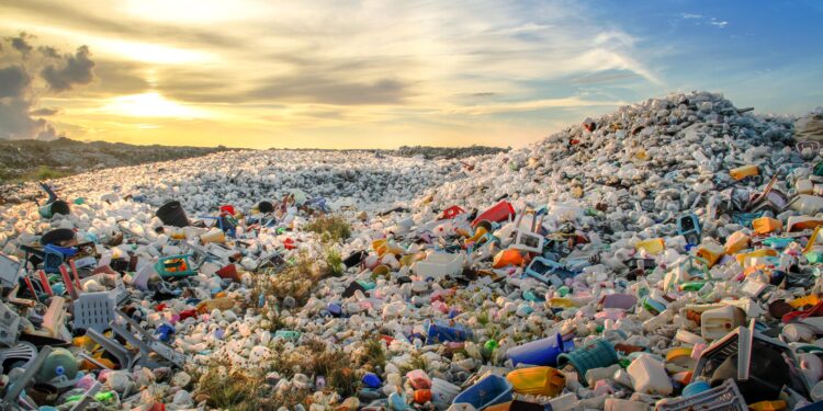 All waste in Dhaka to be cleared by tonight: Adviser Asif Mahmud – The Daily Star