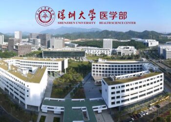 Shenzhen University Affiliated Nanshan Kindergarten / SUIADR SML Design Studio – ArchDaily