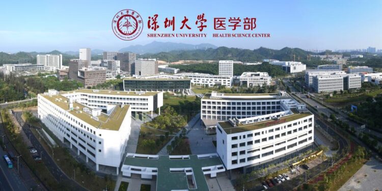 Shenzhen University Affiliated Nanshan Kindergarten / SUIADR SML Design Studio – ArchDaily