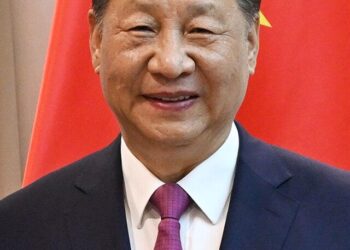 Xi arrives in Brasilia for state visit to Brazil – Xinhua