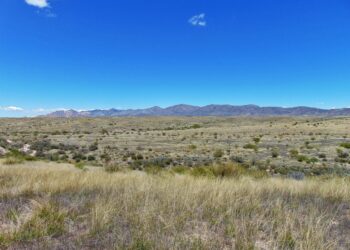 Why you should pay attention to Brazil’s ‘San Pedro Valley’ – The Next Web