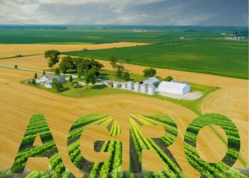 In a Nutshell: Agri-processing adds value in Cote d’Ivoire’s cashew industry – World Bank