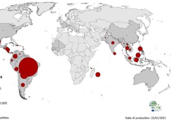 Bangladesh reports 26 more dengue cases in 24hrs – New Age BD