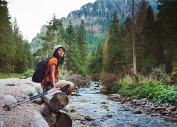 Solo Travel North India: Delhi, Agra and Rajasthan – MSN