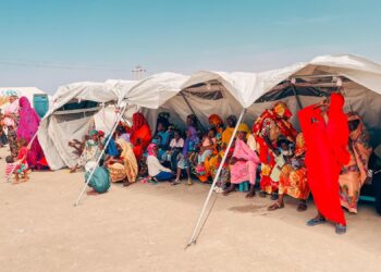 No, South African ‘refugees’ to the US weren’t ‘just a bunch of car guards’ – Africa Check