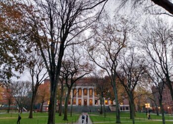 Pvt universities in Gujarat randomly increasing student intake: Cong – Times of India