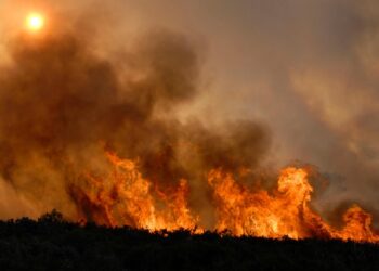 Blanket of wildfire smoke remains over Montreal, prolonging air quality warning – Montreal Gazette