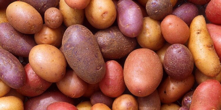 Potato price surge fuels inflation pain for Russia’s poorest – Reuters