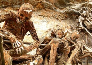 ‘Corpses rotting in the Nile’ as cholera tears through Sudan – Al Jazeera