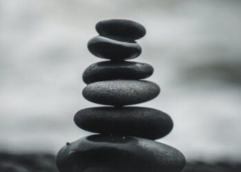 Institute Calls for calmness After Provocation During Lagos Compliance Exercise – Voice of Nigeria