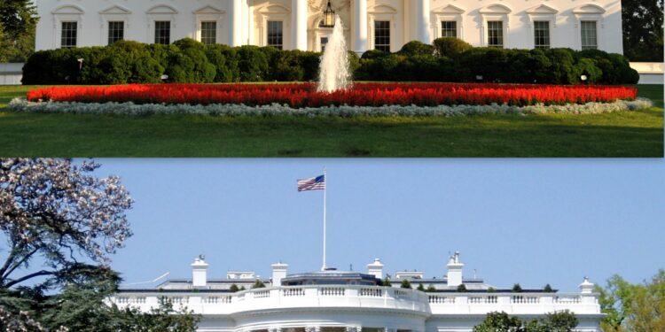White House new COVID-19 page promotes Wuhan lab leak theory – MobiHealthNews