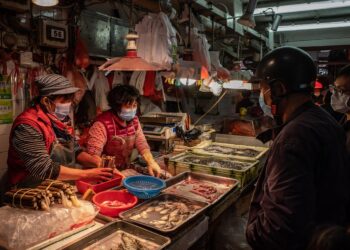 Scientists again link covid pandemic origin to Wuhan market animals – The Washington Post