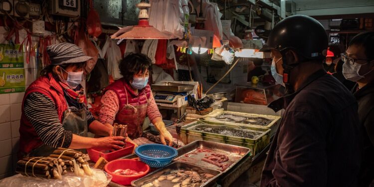 Scientists again link covid pandemic origin to Wuhan market animals – The Washington Post