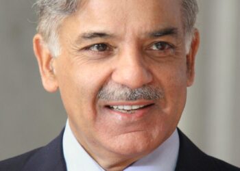 PM Shehbaz thanks UAE for easing tensions with India, highlights tech vision in Abu Dhabi – Daily Times