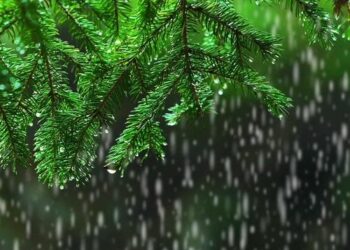 Light rain, thunder reported in Karachi as western winds enter Sindh – The Express Tribune