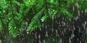 Light rain, thunder reported in Karachi as western winds enter Sindh – The Express Tribune