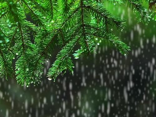 Light rain, thunder reported in Karachi as western winds enter Sindh – The Express Tribune