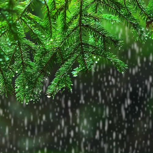 Light rain, thunder reported in Karachi as western winds enter Sindh – The Express Tribune