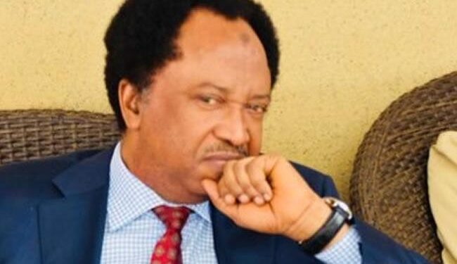 Shehu Sani urges Nigeria to reciprocate if included in U.S visa ban – The Guardian Nigeria News