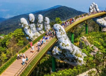 Vietnam to support deportations from US after tariff threats, lawyer says – Reuters