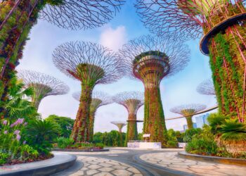 Singapore’s exports unexpectedly fall 3.5% y/y in May By Reuters – Investing.com
