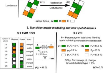 Multiscale assessment of thermal comfort, exposure, inequality, and heat risk in Zhengzhou – Nature