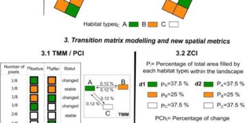 Multiscale assessment of thermal comfort, exposure, inequality, and heat risk in Zhengzhou – Nature