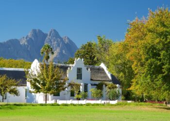 Stellenbosch star on why Kaizer Chiefs could be spot-on in chasing Fadlu Davids’ Simba SC stars – ‘A couple of good players…’ – Goal.com