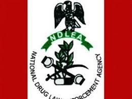 NDLEA Officials Allegedly Kill Kano Teenage Girl, Family Demands Justice – Nigeria Info FM