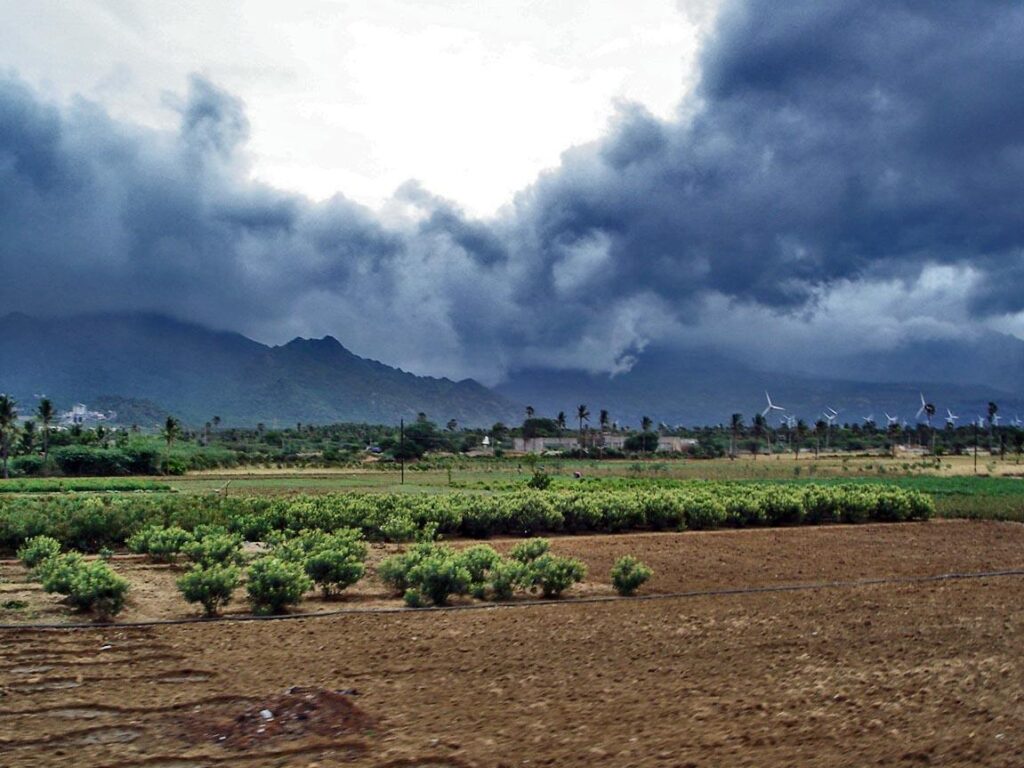 India’s monsoon back on track, heatwave to ease, says weather officials – Reuters