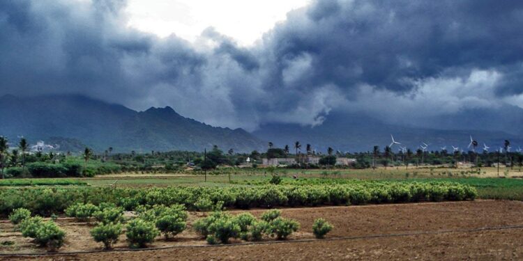 India’s monsoon back on track, heatwave to ease, says weather officials – Reuters