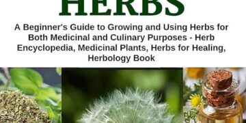 New study on medicinal plants established with York’s twin city in China – University of York