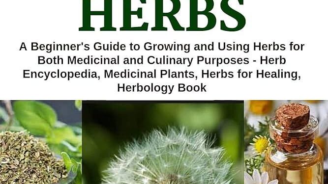 New study on medicinal plants established with York’s twin city in China – University of York
