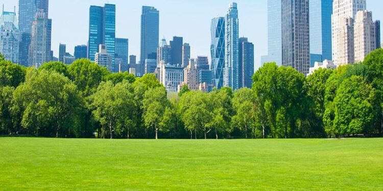 Impact of green space exposure on blood pressure in Guangzhou, China: Mediation by air pollution, mental health, physical activity, and weight status – ScienceDirect.com