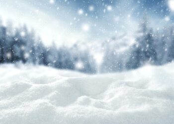 Snow creates special festive atmosphere for China’s Shijiazhuang – Xinhua | English.news.cn – 新华网