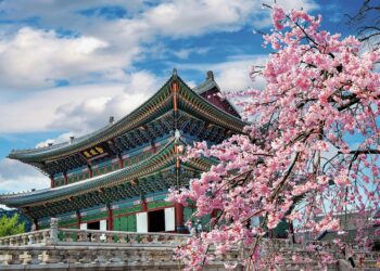 South Korea to pour $735 bn into developing sovereign AI built on Korean language and data – 조선일보