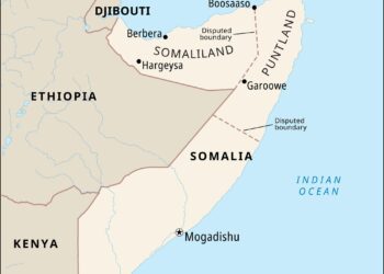 Somalia, Ethiopia agree to work together to resolve Somaliland port dispute – Reuters