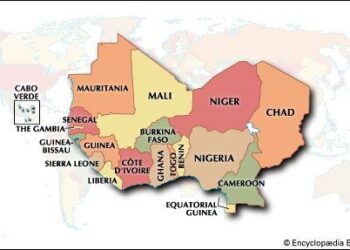 West Africa’s democratic promise can become liability if… – Tinubu – Premium Times Nigeria