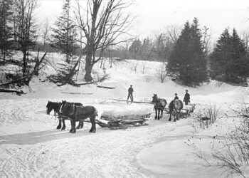 Warmer winter melts incomes of China’s ice cutters – France 24