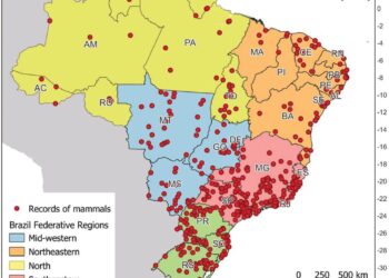 Brazilian city experiences deadly flooding after 32 inches of rain falls in just 27 days – The Washington Post