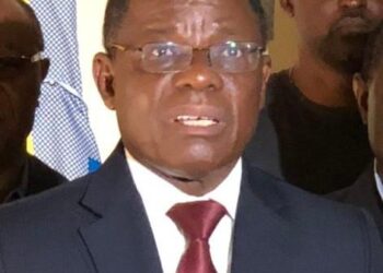 Cameroonian opposition leader Kamto returns to Yaoundé after house arrest – France 24