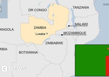 Zambia’s ex-President Lungu will be buried in South Africa due to family’s feud with Zambia – AP News