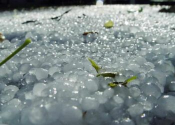 Sudden hailstorm lashes Egypt’s Alexandria – Phys.org